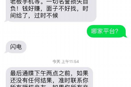 资兴为什么选择专业追讨公司来处理您的债务纠纷？